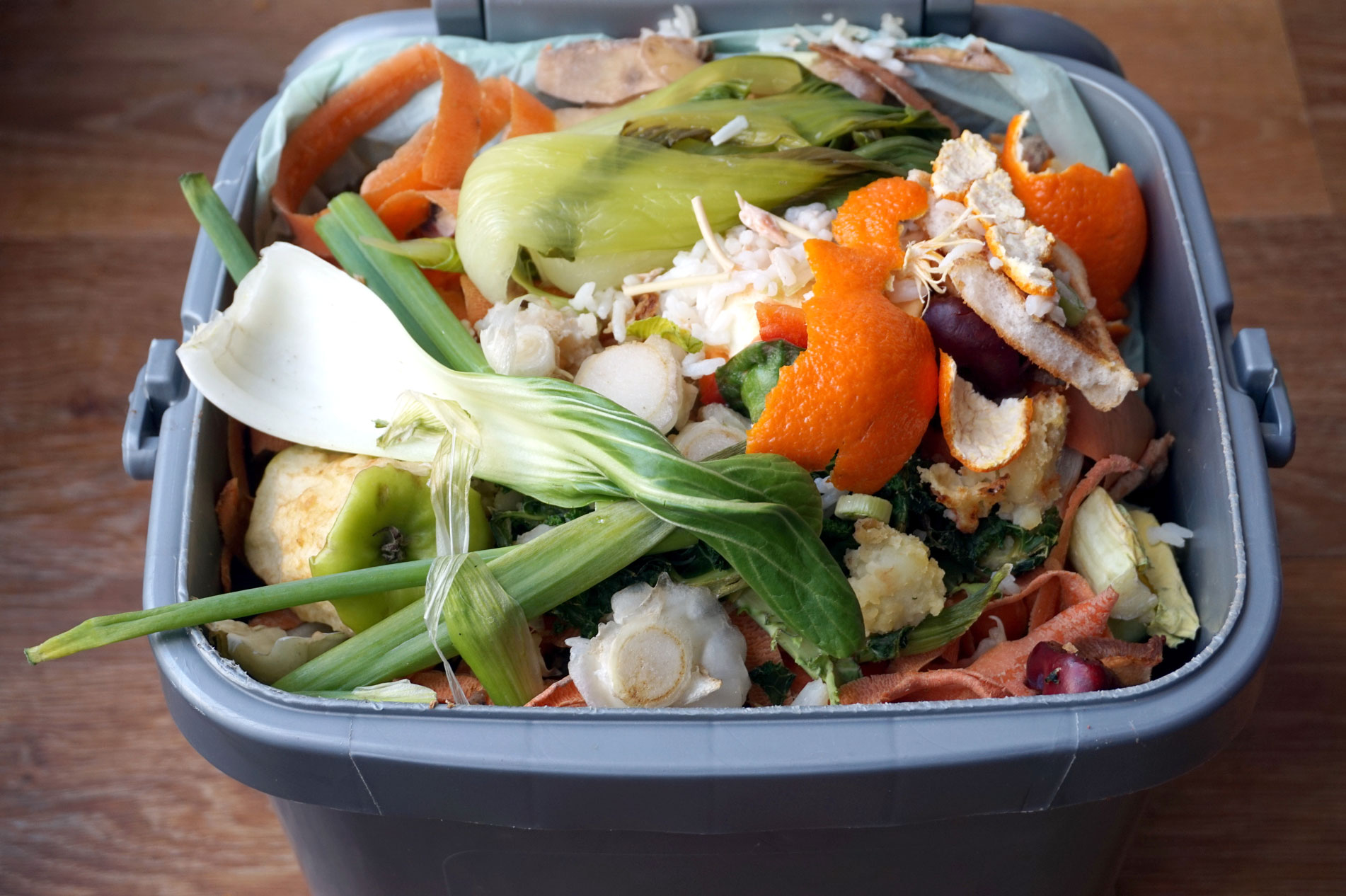 Use compost bins to prevent and reduce food waste