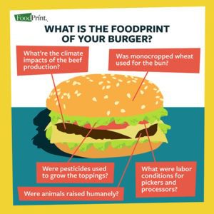 What's the foodprint of your burger?