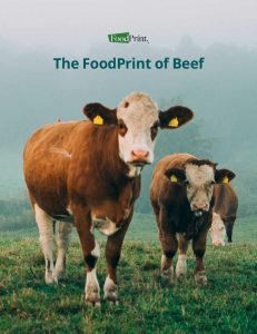 FoodPrint of Beef Report Cover