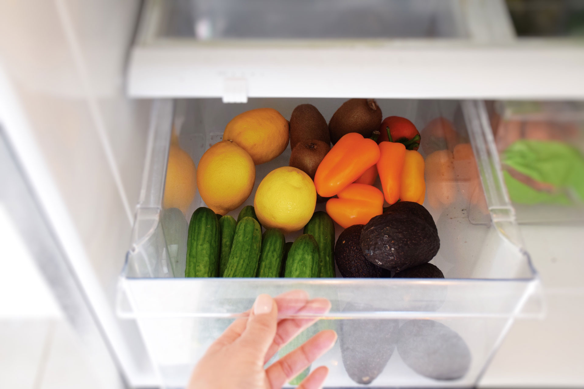 person opening fridge crisper drawer