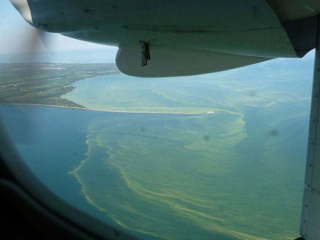 plane flying over algal bloom