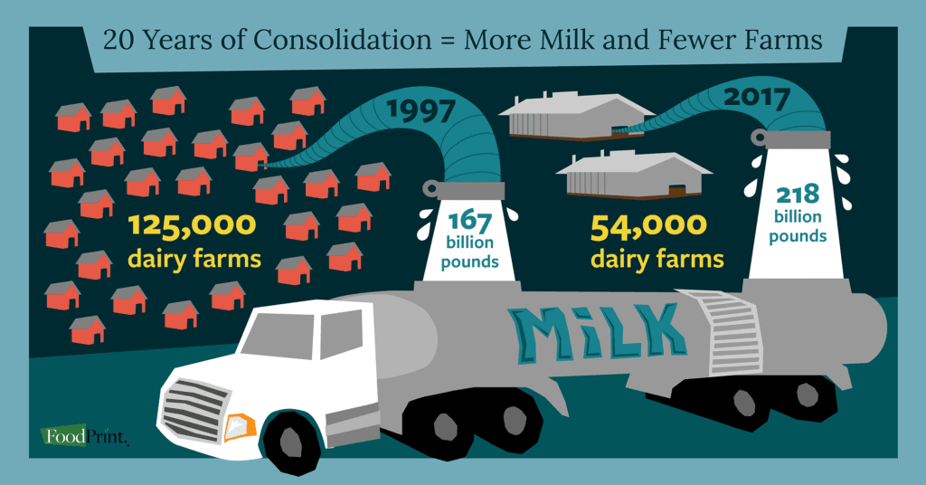 Infographic about dairy farm consolidation