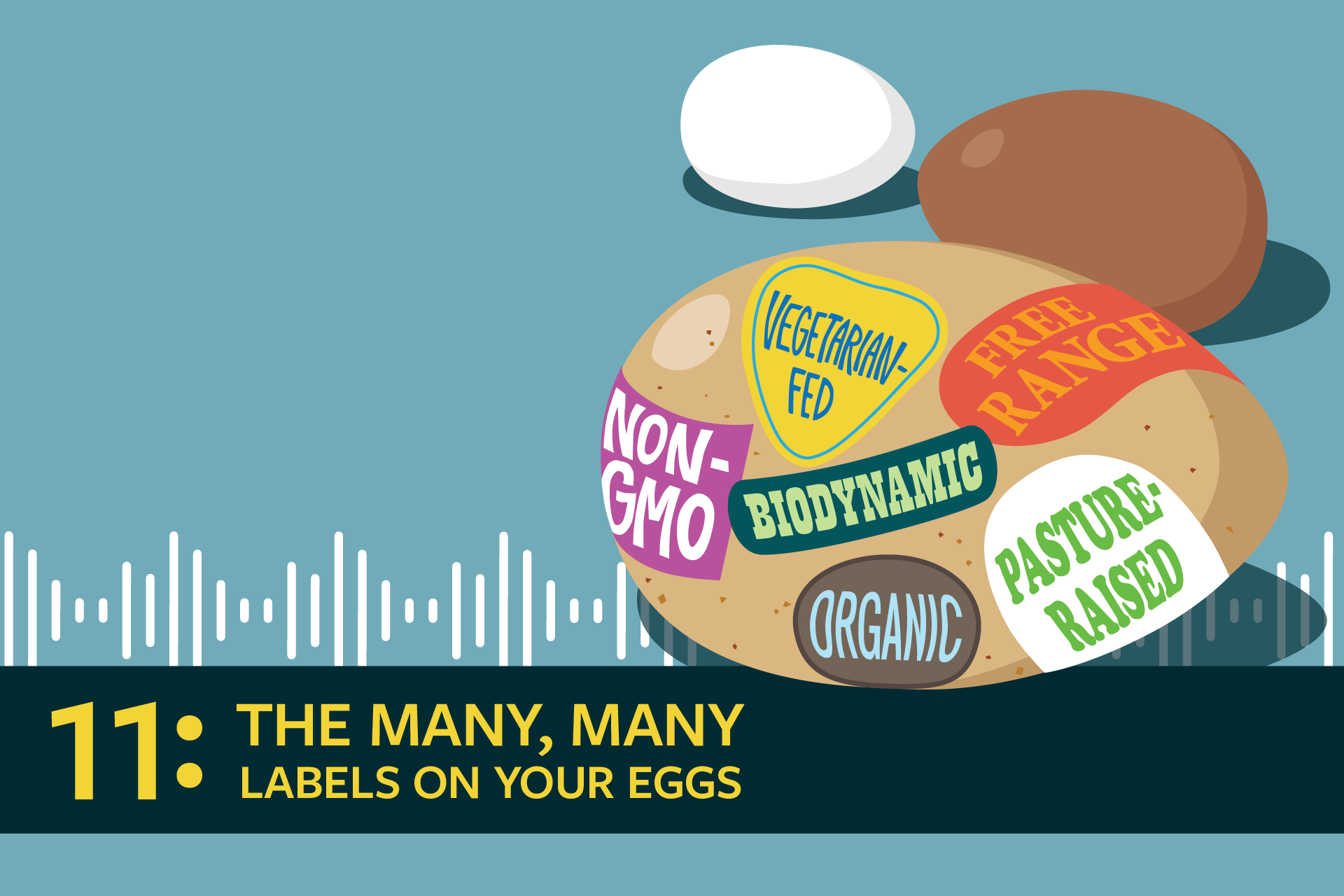 graphic illustration of labels on eggs