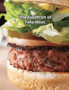 fake meat on a hamburger bun